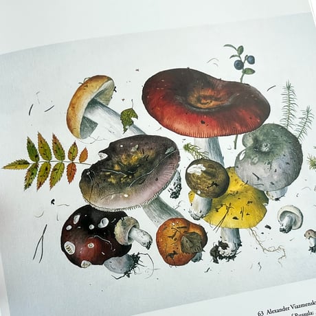 A New Flowering：1000 Years of Botanical Art