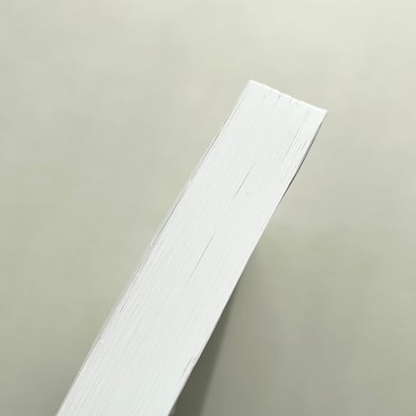 A PIECE OF PAPER　長場雄作品集