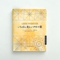 いちばん美しいクモの巣