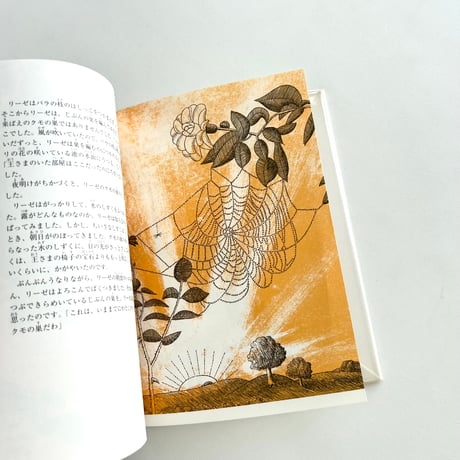 いちばん美しいクモの巣