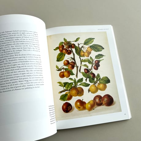 A New Flowering：1000 Years of Botanical Art