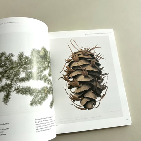 A New Flowering：1000 Years of Botanical Art