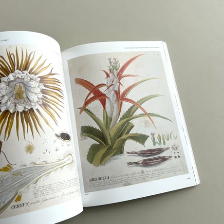 A New Flowering：1000 Years of Botanical Art