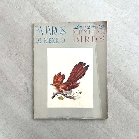 PAJAROS DE MEXICO / MEXICAN BIRDS