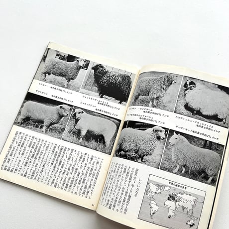 岩波写真文庫211　毛織物の話