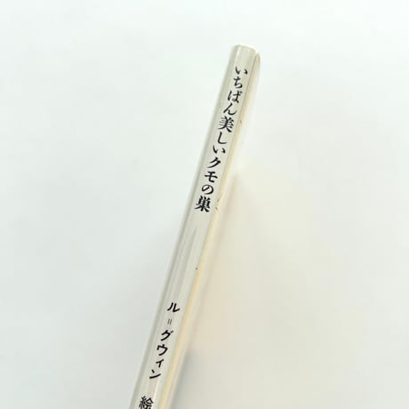 いちばん美しいクモの巣