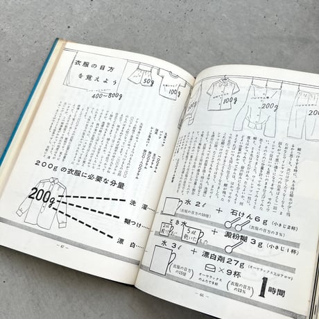 新家事読本 たのしい洗濯