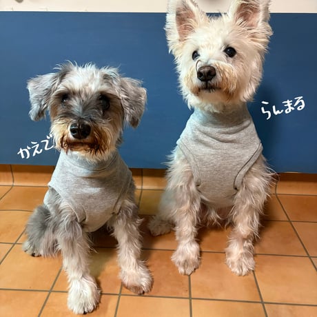 シュナ服・HELLO my name is　C&L rapport & Kyotobunguya コラボ服