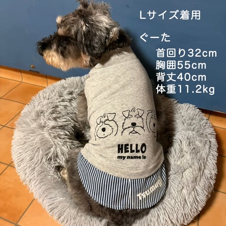 シュナ服・HELLO my name is　C&L rapport & Kyotobunguya コラボ服
