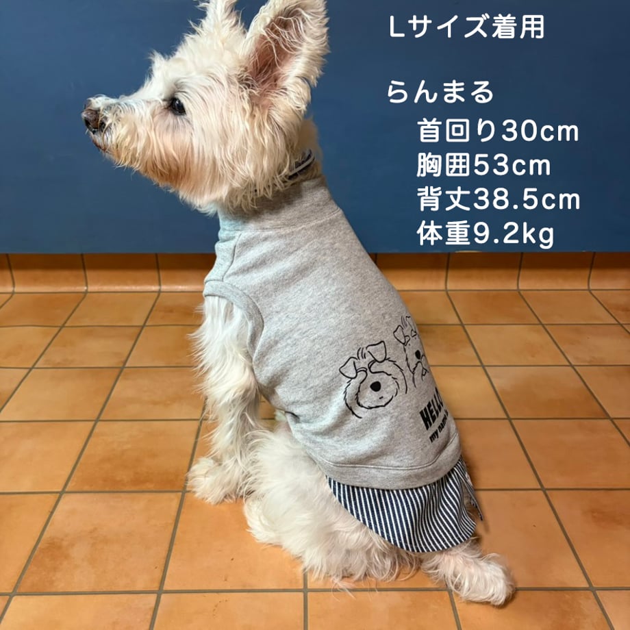 6ac750ed4d8ae2eb22bf7ca9