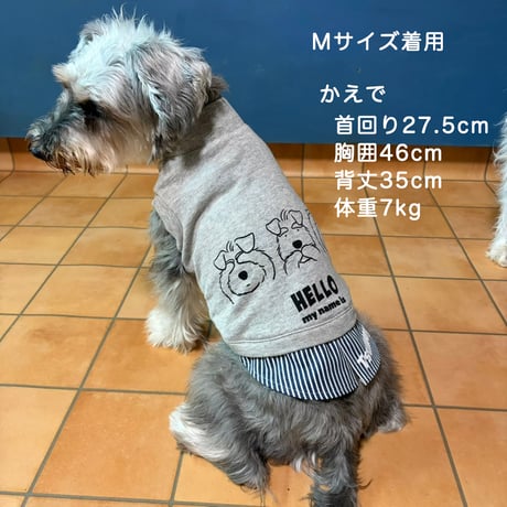 シュナ服・HELLO my name is　C&L rapport & Kyotobunguya コラボ服