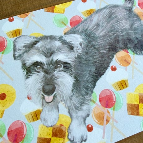 シュナのポストカード・オリジナルイラスト・シュナウザー、schnauzer
