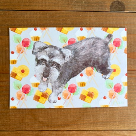 シュナのポストカード・オリジナルイラスト・シュナウザー、schnauzer
