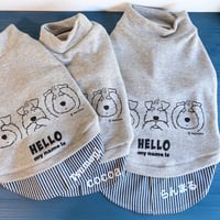 シュナ服・HELLO my name is　C&L rapport & Kyotobunguya コラボ服