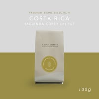 100g  コスタリカ ハシエンダコペイ ゲイシャ Lot 167 浅煎り