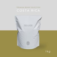 1kg コスタリカ ブルマスマイクロミル ゲイシャ種 A01 浅煎り