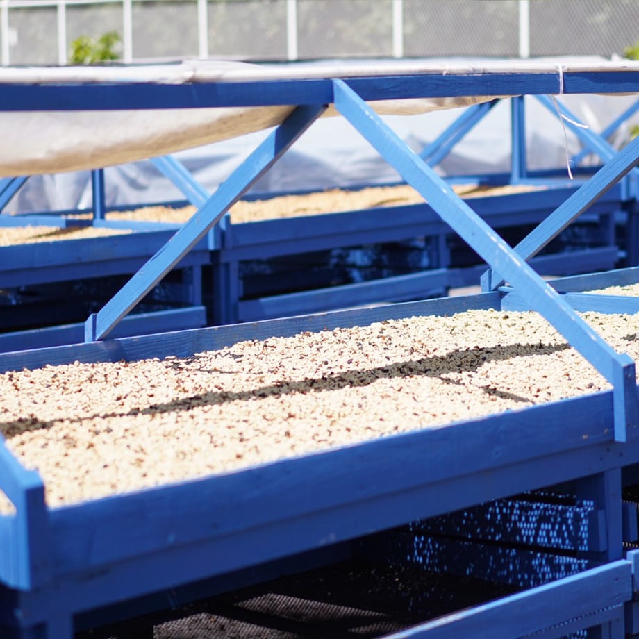6a793357f30db212e908684d