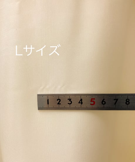 刺繍アップリケ シフォン Aラインドレス　アイボリー　M大きめサイズ,Lサイズ