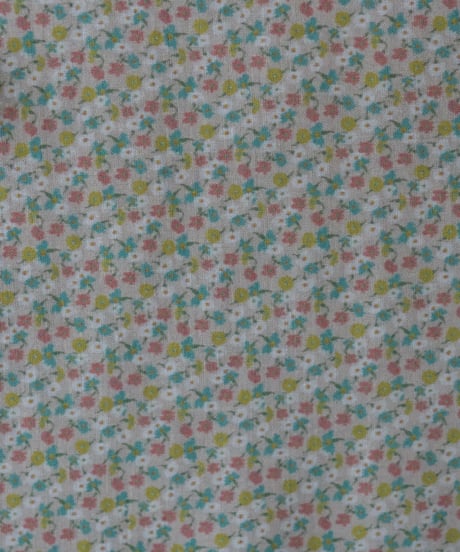 野の花帖 アイボリー色 : ハノンオリジナルファブリック 20cm x 50cm