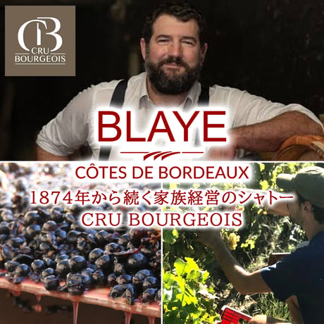 結婚記念日 御祝 お花 ワイン ギフトセット ハーフボトル 2本 フランス スパークリング 泡 白 375ml 赤ワイン ボルドー 生花 フラワーアレンジメント ピンク バラ カーネーション 誕生日