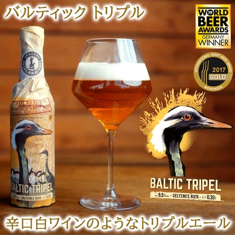 誕生日 御祝 詰め合わせ クラフトビール ドイツ 珍しい ビール 10本 飲み比べセット クラフトビール 海外ビール 輸入ビール
