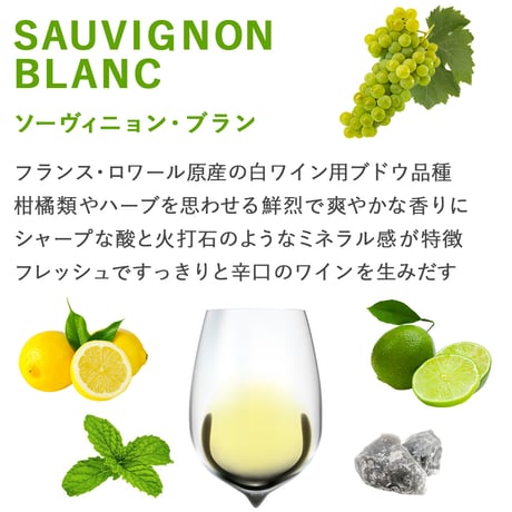 秋ギフト おしゃれ ラベル 高級 ワイン ボルドー 赤ワイン 白ワイン 2本 紅白ワイン セット 750ml 紅白 メルロー ソーヴィニヨン・ブラン トワル・ド・ジュイ ギフト包装付き