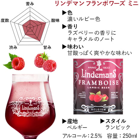 暑中見舞い ギフトビール ギフト フルーツビール 詰め合わせ ベルギー ランビック リンデマンス セントルイス 250ml 8本 セット フランボワーズ カシス チェリー ピーチ 夏ギフト