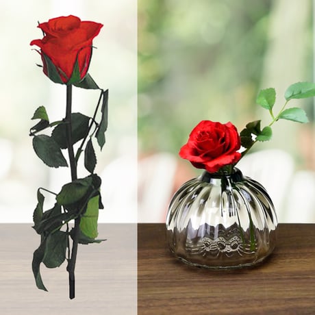 お花の色が選べる ジュース 花 ギフトセット フランス ラズベリー ネクター 330ml プリザーブドフラワー バラ ピンク 赤 ノンアル 誕生日 お祝い プレゼント