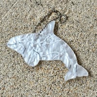シャチ白色個体キータグ
