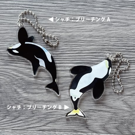 クジラの雑貨屋さん