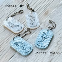 オルカ・ペアアクキー「Orca Echo Key」　全2種