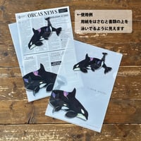 クリアファイル：シャチ親子柄