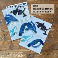 クリアファイル：クジラ親子柄