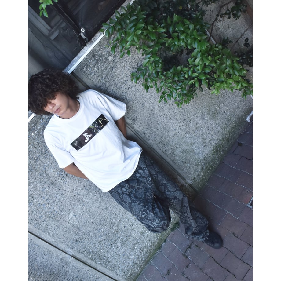 6a89392e8ae1785ae6f6d41e