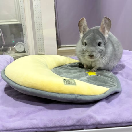月と星のクッションマット