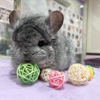 フォージング ラタン（Ｍ）3個セット（ピンク・白・ミントグリーン）