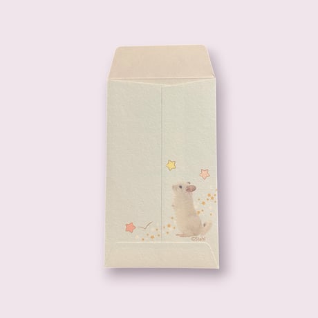 【倉庫一掃セール】《Wish up on a Starシュター》ポチ袋　5枚入り  ⚫︎