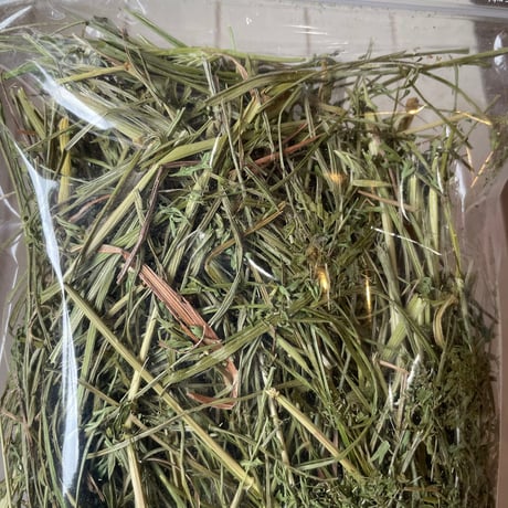 《最高級特秀牧草》イタリアンライグラス ×国産人参の葉　30g
