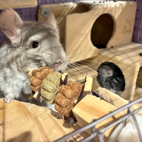 チモシートイ スティック