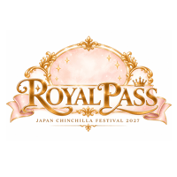 【チラフェス2027】《10月中のみ早期販売価格》ROYAL PASS（ロイヤルパス）