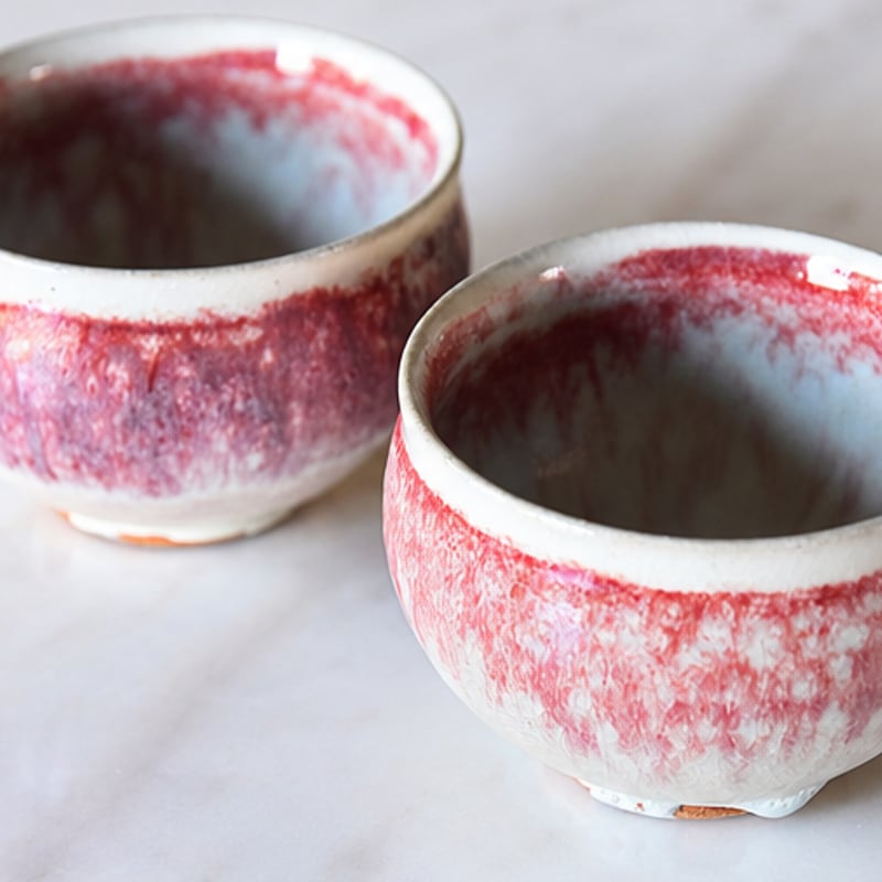 丹波焼 信凜窯 仲岡信人 彩色灰釉 カップ 赤｜Tamba pottery shinringa