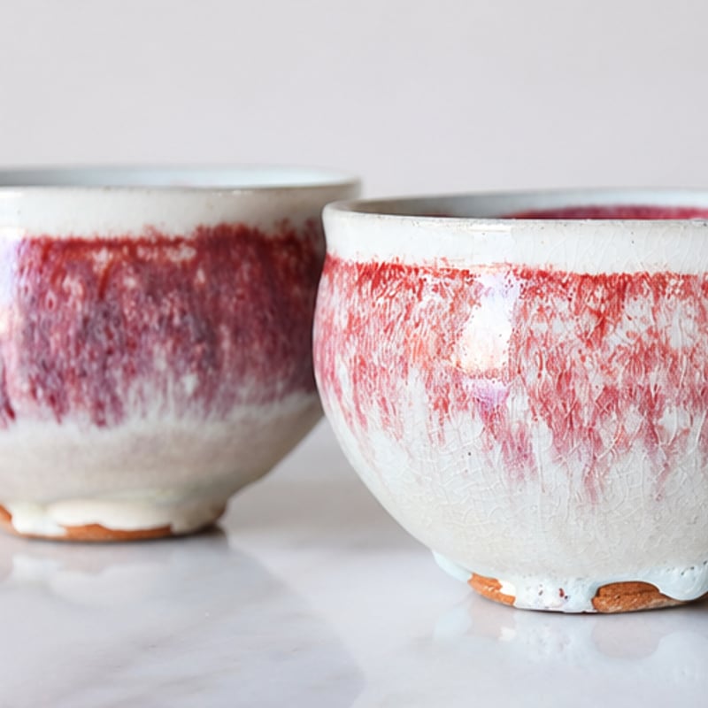 丹波焼 信凜窯 仲岡信人 彩色灰釉 カップ 赤｜Tamba pottery shinringa