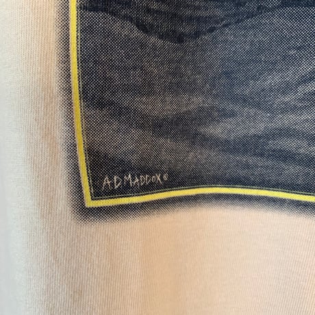 patagonia WORLD TROUT AD MADDOX S/S TEE  パタゴニア ワールドトラウト VINTAGE