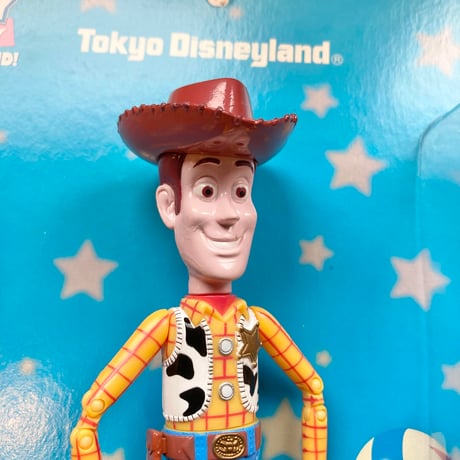 Disney TOY STORY WOODY トイストーリー ウッディ アクションフィギュア 東京ディズニーランド