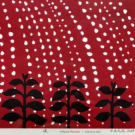 保立葉菜　木版画「涙」赤
