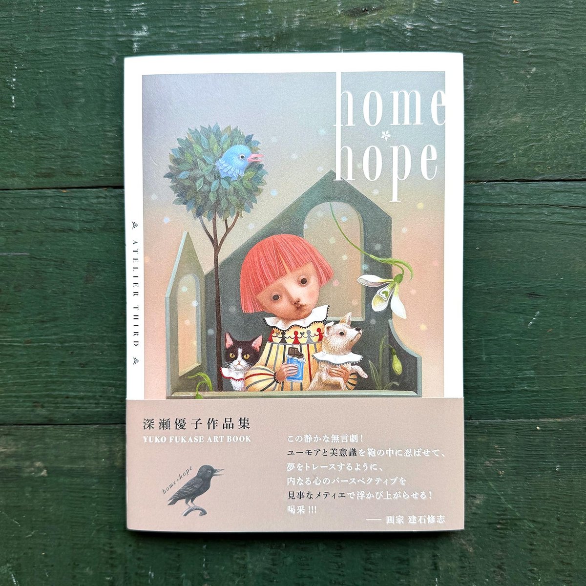深瀬優子作品集『home*hope』☆サイン本 | URESICA