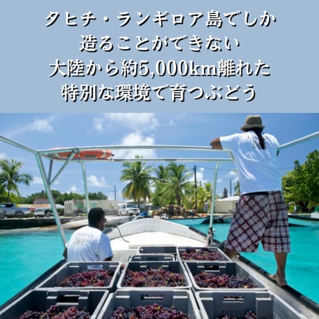 TAHITI直輸入 VIN DE TAHITI（ヴァン・ド・タヒチ）｜ランギロア島産 白ワイン　【20歳以上購入可】