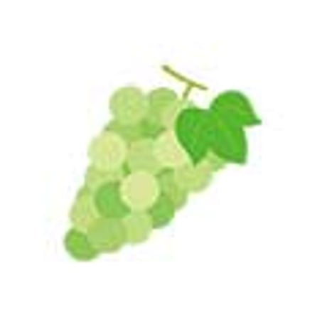 【NEW】いろいろなくだもの（イラスト）