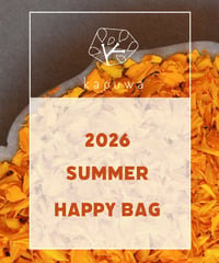 〈オンラインショップ限定〉〈数量限定〉夏のHAPPY BAG ウエア4点セット