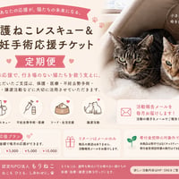 【毎月応援】　レスキュー＆不妊去勢手術応援チケット　5000円コース